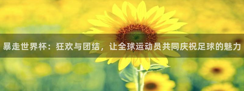 2026世界杯直播：暴走世界杯：狂欢与团结，让全球运动员共同庆祝足球的魅力