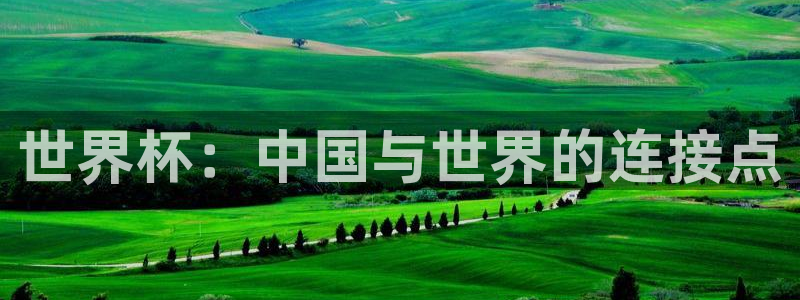 亚洲杯足球：世界杯：中国与世界的连接点