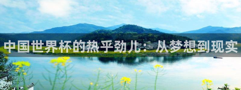 国际足联世界杯：中国世界杯的热乎劲儿：从梦想到现实