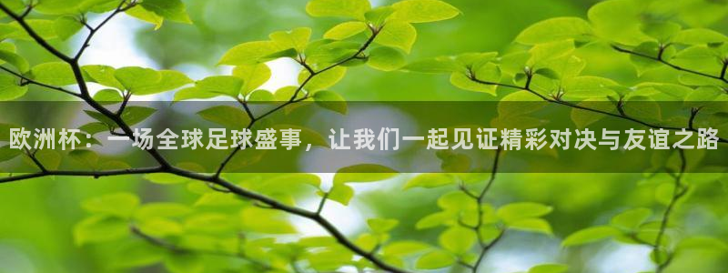 2026世界杯直播：欧洲杯：一场全球足球盛事，让我们一起见证精彩对决与友谊之路