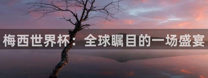 2006年世界杯冠军：梅西世界杯：全球瞩目的一场盛宴