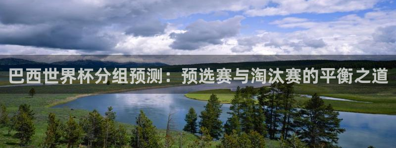 世俱杯直播：巴西世界杯分组预测：预选赛与淘汰赛的平衡之道