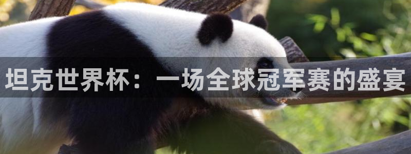 世界杯预选赛欧洲：坦克世界杯：一场全球冠军赛的盛宴